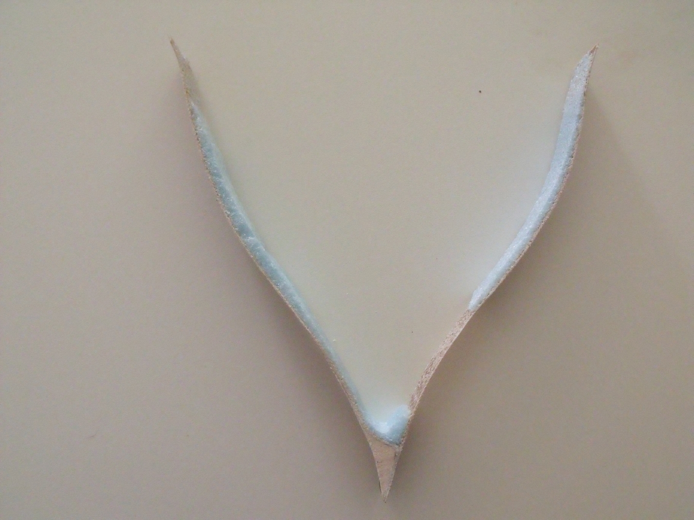 Duck_tail_cross_section.jpg