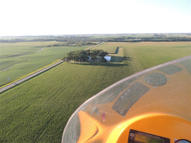 Grass Strip.jpg