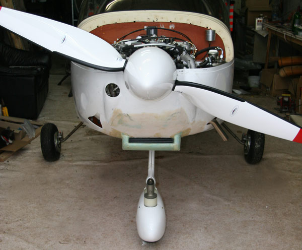 nose.jpg
