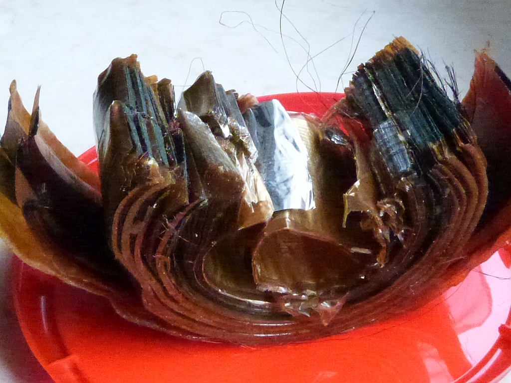 P1040303 kk.jpg