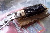 100_4765.jpg