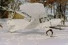 Avid_on_wheel_skis_at_home_-_small_files_size.JPG