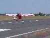 FF_3_(Small).JPG