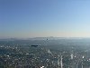 P1050561 (Large).JPG