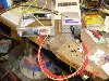 Transponder wiring loom.jpg